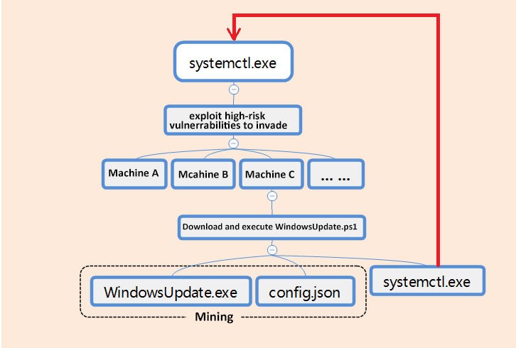 The infection process